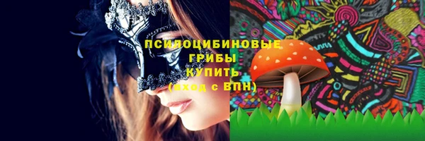 ГАЛЛЮЦИНОГЕННЫЕ ГРИБЫ Липки