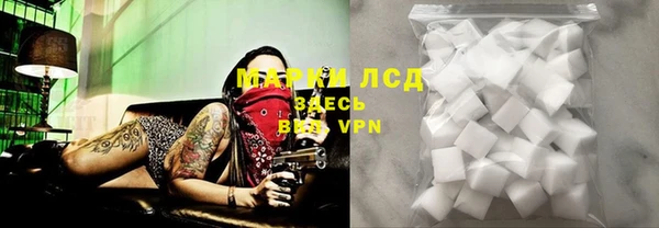 ГАЛЛЮЦИНОГЕННЫЕ ГРИБЫ Липки