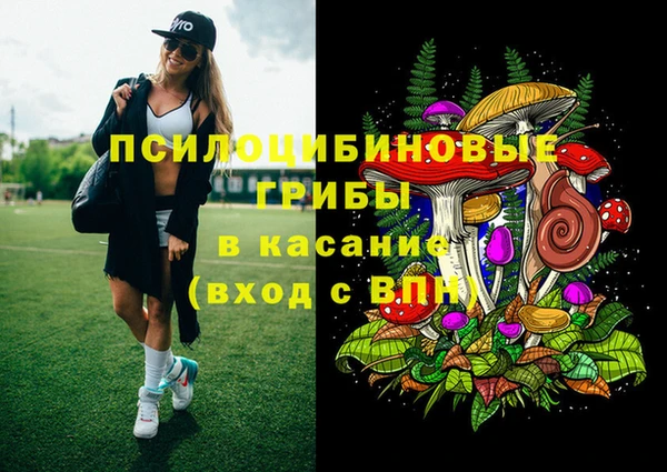 ГАЛЛЮЦИНОГЕННЫЕ ГРИБЫ Липки