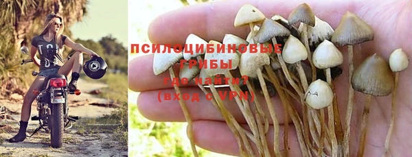 ГАЛЛЮЦИНОГЕННЫЕ ГРИБЫ Липки