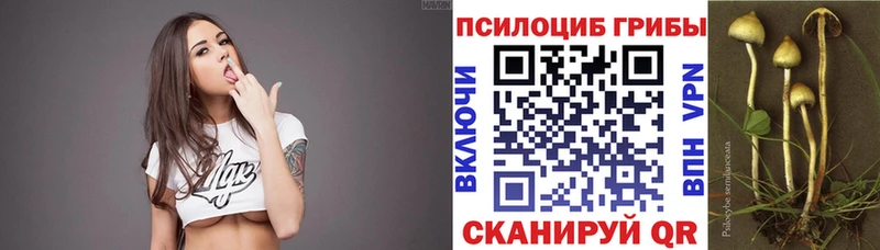 ОМГ ОМГ ССЫЛКА  Юрга  Галлюциногенные грибы Cubensis 